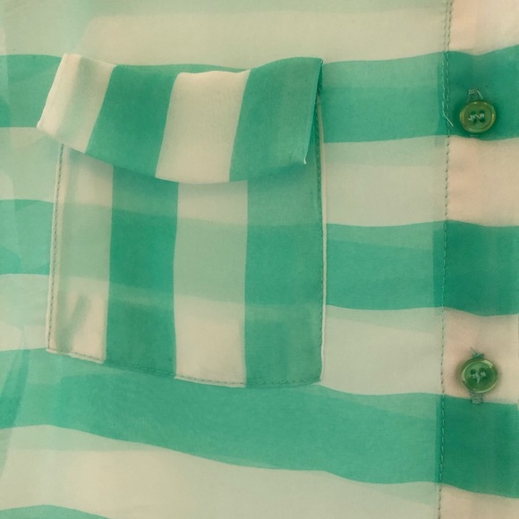 Aqua Sheer Striped Blouse - Picture 2 of 3